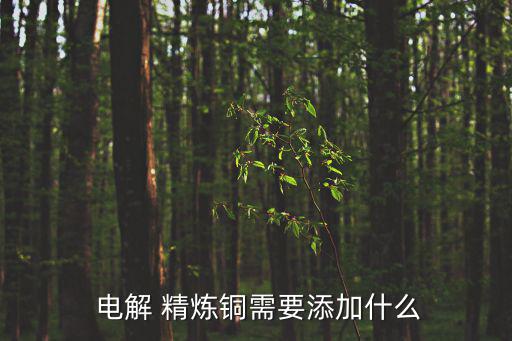  電解 精煉銅需要添加什么