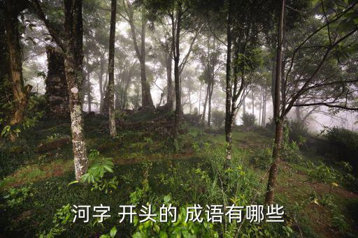 河開頭的成語,《月亮關賦》四個成語解釋