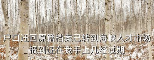 成都市教育局黎炳晨，教壇拾珠是誰寫的