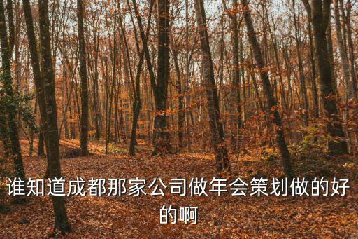 成都市安逸會議策劃服務有限公司，誰知道成都那家公司做年會策劃做的好的啊
