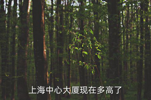 上海城市中心大廈多高，上海中心大廈有多高
