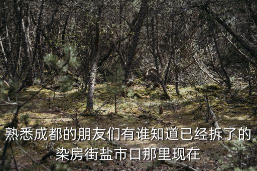 成都市染坊街珠寶市場搬遷，成都哪里能買到布頭花邊等手工材料染坊街拆了不知道還有嗎