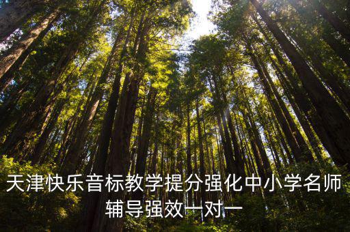 天津快樂音標教學提分強化中小學名師輔導強效一對一