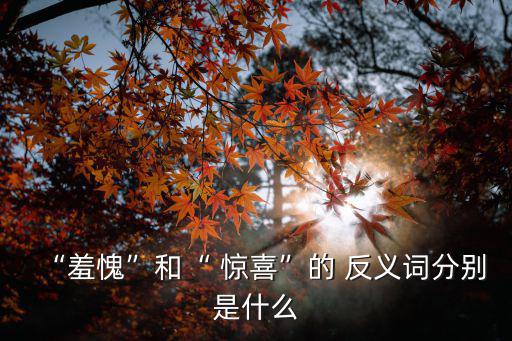 驚喜的反義詞,逆境中的好運(yùn)與你有何差別?