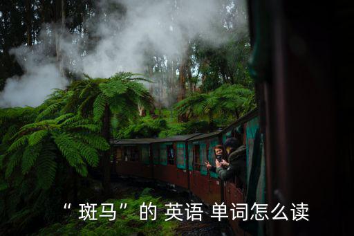 “ 斑馬”的 英語 單詞怎么讀