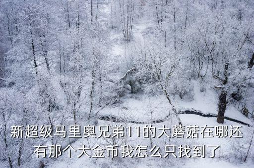 超級瑪麗蘑菇，超級瑪麗旗艦版商店里的蘑菇干嘛用的