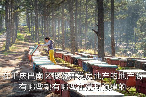 在重慶巴南區(qū)投資開發(fā)房地產(chǎn)的地產(chǎn)商有哪些都有哪些在建和預(yù)建的