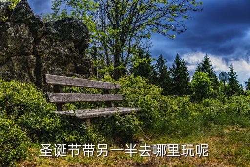 天津市水游城圣誕節(jié)，誰能給你好意見在天津圣誕節(jié)去哪好玩啊