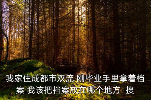 我家住成都市雙流 剛畢業(yè)手里拿著檔案 我該把檔案放在哪個地方  搜