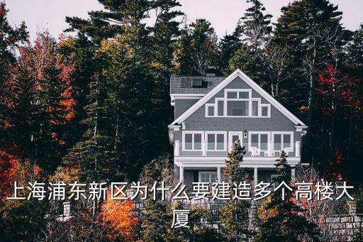 上海浦東新區為什么要建造多個高樓大廈