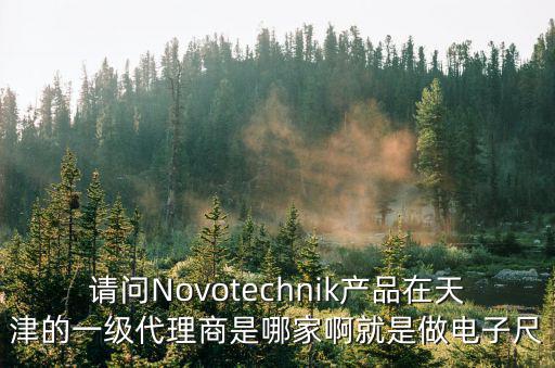 請問Novotechnik產品在天津的一級代理商是哪家啊就是做電子尺