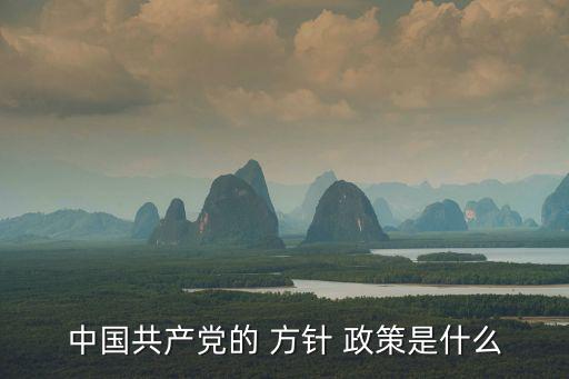 中國共產黨的 方針 政策是什么