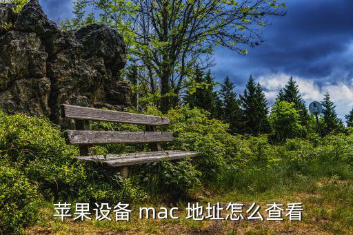  蘋果設備 mac 地址怎么查看