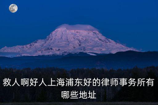 救人啊好人上海浦東好的律師事務所有哪些地址