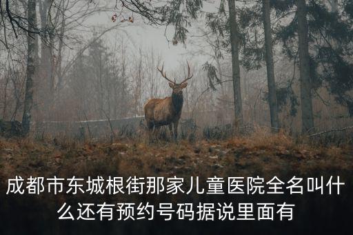 成都市東城根街那家兒童醫院全名叫什么還有預約號碼據說里面有