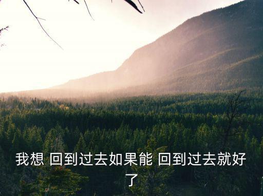 我想 回到過去如果能 回到過去就好了