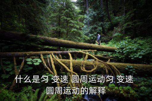 什么是勻 變速 圓周運(yùn)動(dòng)勻 變速 圓周運(yùn)動(dòng)的解釋