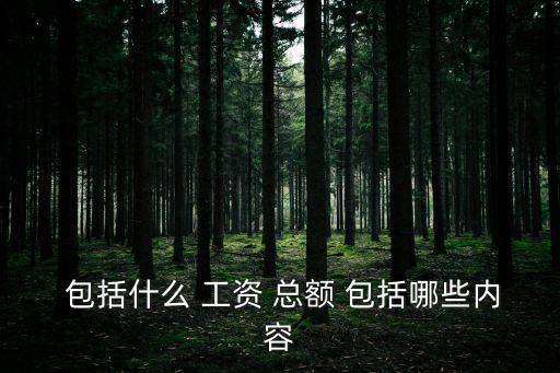 工資總額包括哪些