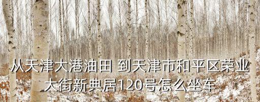 從天津大港油田 到天津市和平區榮業大街新典居120號怎么坐車