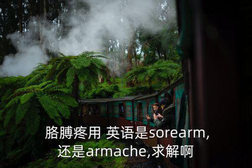  胳膊疼用 英語是sorearm,還是armache,求解啊