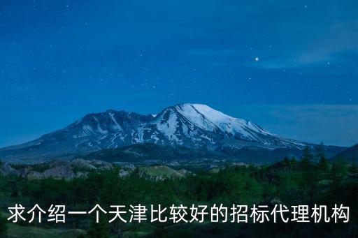 天津市武清區工程招標代理有限公司，求介紹一個天津比較好的招標代理機構