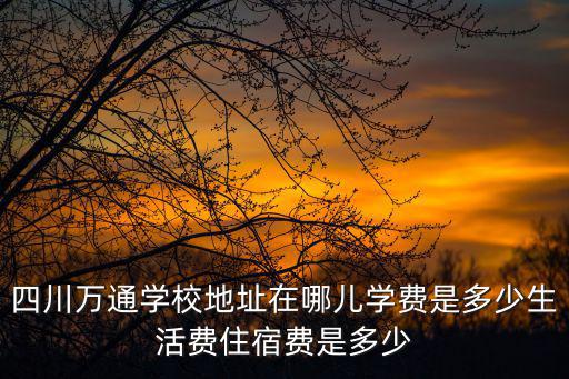 四川省成都市龍泉驛區花坪小區，龍泉的天一學校在那呢