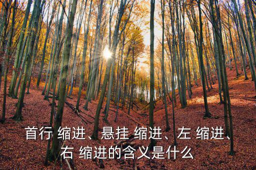 右縮進,縮進區域中右側選項的值設置為2字符