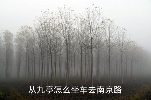 重慶市九亭，九亭鎮(zhèn)晚上九點左右還有公交車嗎