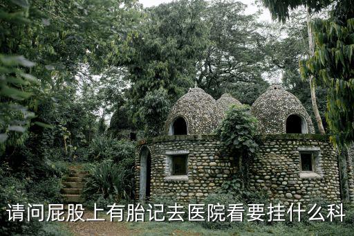 天津市中醫(yī)藥研究院附屬醫(yī)院王h，請(qǐng)問屁股上有胎記去醫(yī)院看要掛什么科