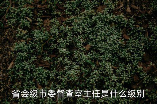 省會(huì)級(jí)市委督查室主任是什么級(jí)別