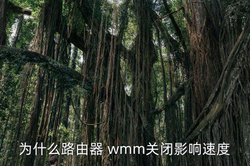 為什么路由器 wmm關閉影響速度