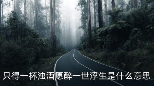 只得一生，只得一生要是陳奕迅唱就好了