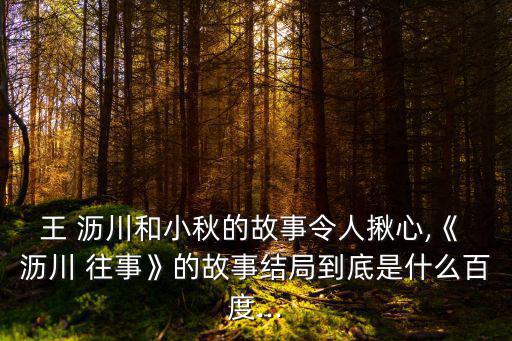 王 瀝川和小秋的故事令人揪心,《 瀝川 往事》的故事結局到底是什么百度...