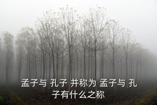 孟子與孔子并稱,亞洲哲人孟子被尊為孔子,后