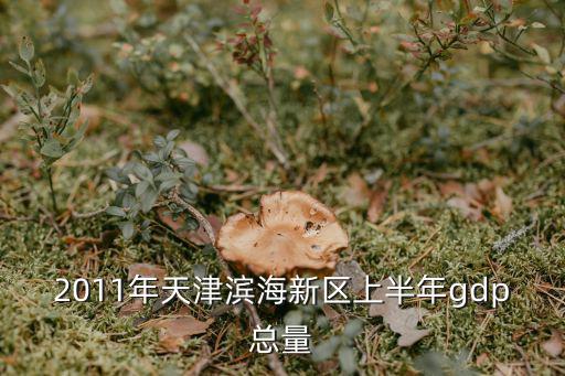 天津市濱海gdp過萬(wàn)億，天津GDP為什么今年增長(zhǎng)那么迅速