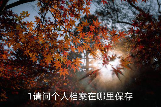 1請問個人檔案在哪里保存