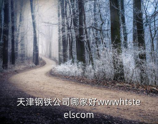 天津鋼鐵公司哪家好wwwhtsteelscom