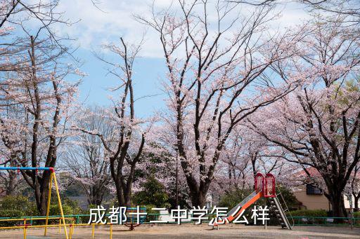 成都十二中學怎么樣