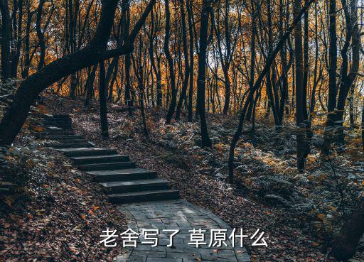 老舍草原,草原小屋第一部（一）