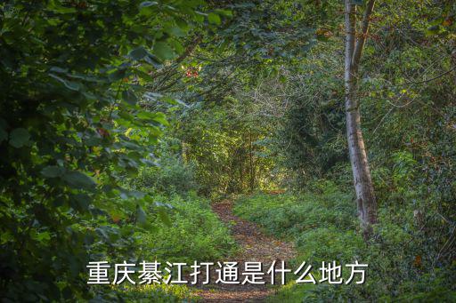 重慶市綦江區(qū)安穩(wěn)鎮(zhèn)渝陽社區(qū)，重慶市綦江區(qū)現(xiàn)在可以在哪里申請(qǐng)公租房