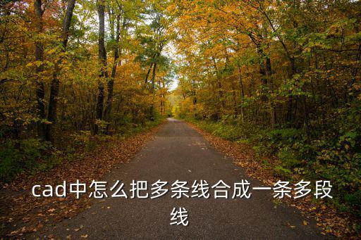  cad中怎么把多條線合成一條多段線