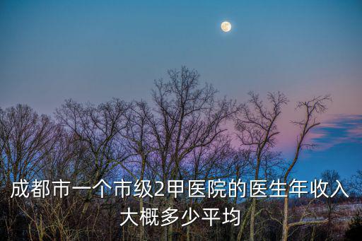 成都市一個市級2甲醫(yī)院的醫(yī)生年收入大概多少平均