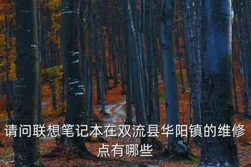 請問聯想筆記本在雙流縣華陽鎮的維修點有哪些