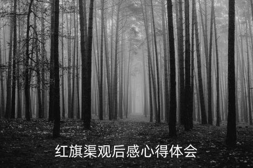 紅旗渠觀后感心得體會