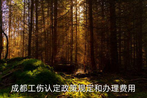 成都工傷認定政策規(guī)定和辦理費用