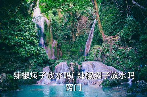  辣椒燜子放水嗎( 辣椒燜子放水嗎竅門