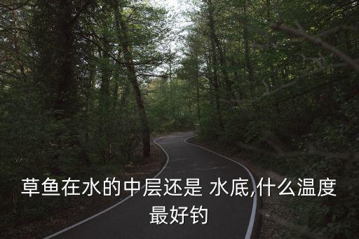 草魚在水的中層還是 水底,什么溫度最好釣