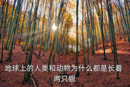 兩只眼睛,第三只眼睛長在后腦勺上顯示什么樣的信息