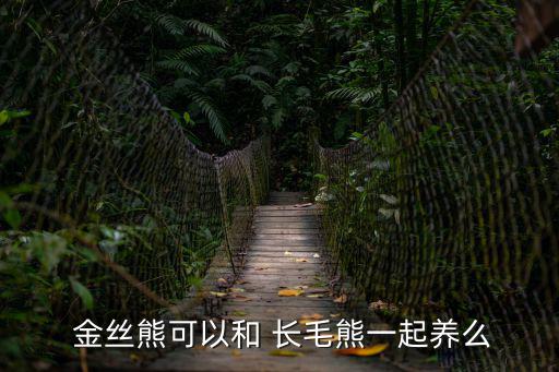  金絲熊可以和 長毛熊一起養么