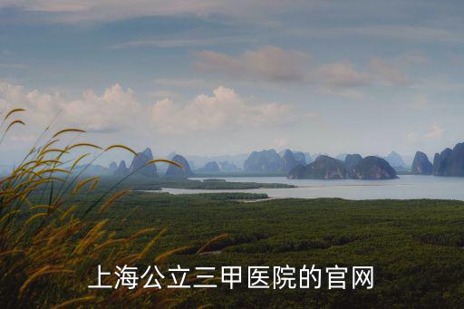 上海市方艙醫院，上海醫院大全